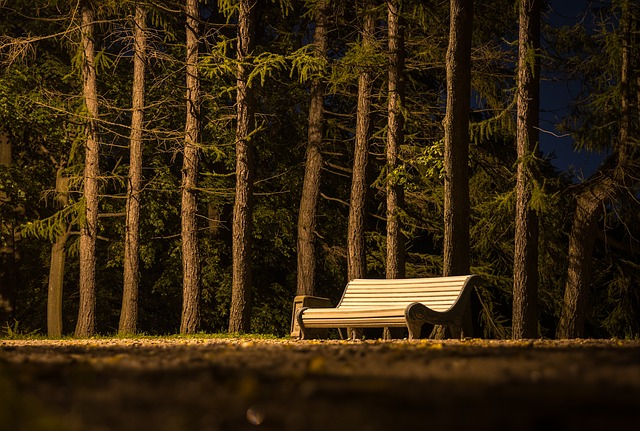 dřevěná lavička v parku